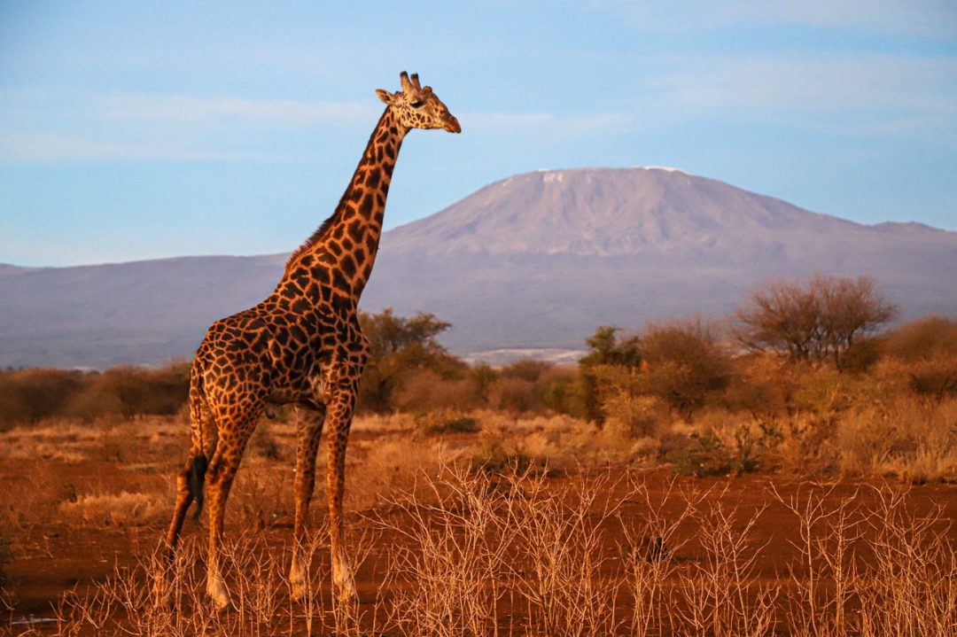 Kenya Tourism